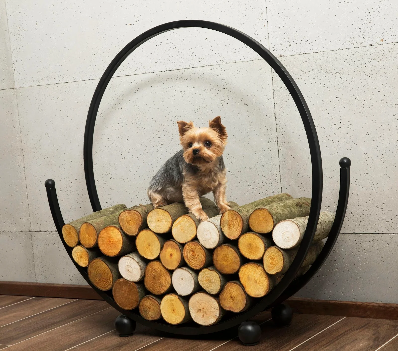Cookking Kaminholzregal "SPIRAL" 80 cm - Image 2