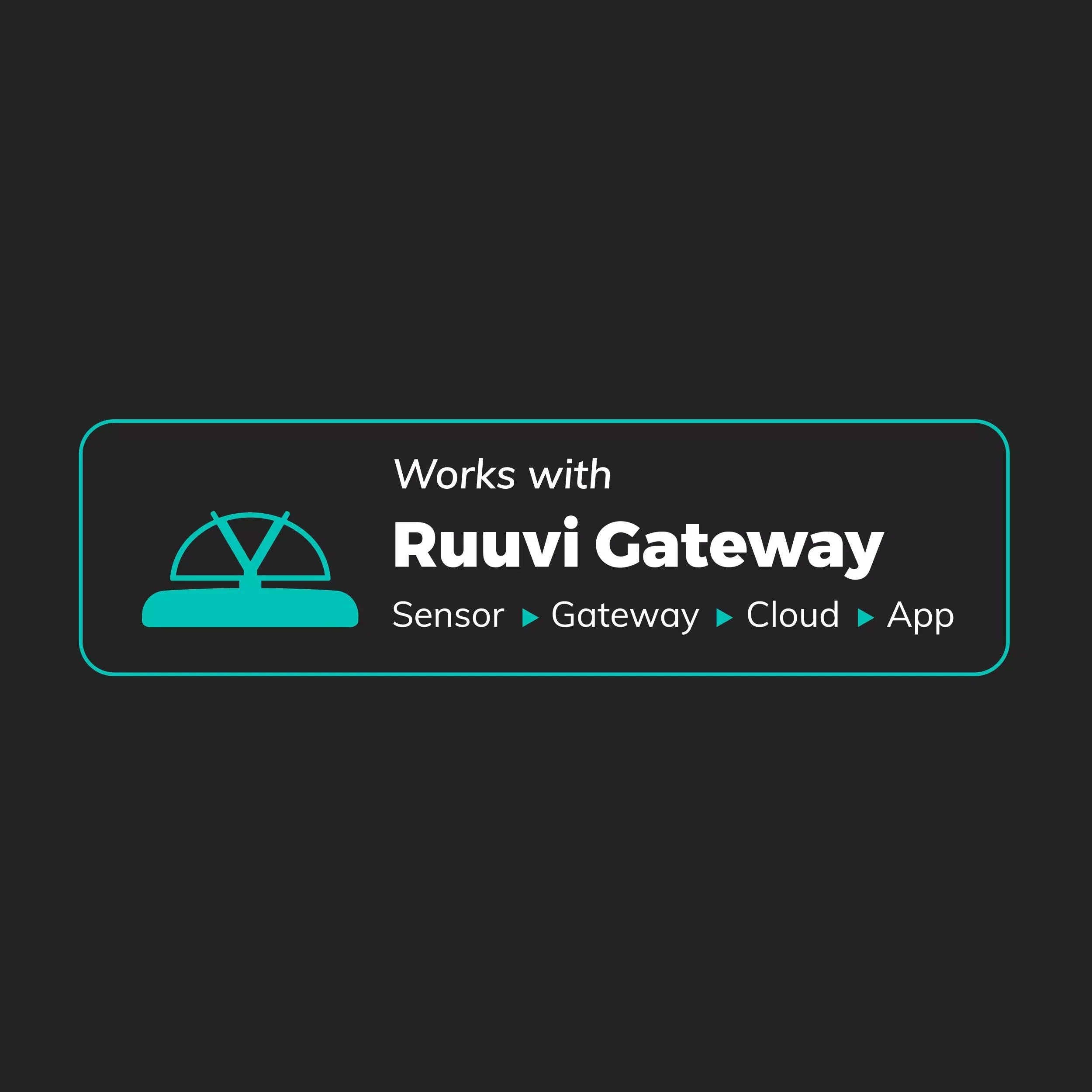 RuuviTag Pro Sensor (3in1) - Image 7